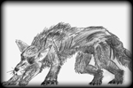 Tollwütiger Wolf Skizze